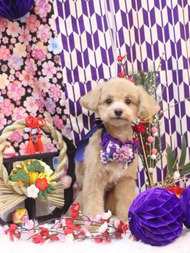 20250108レオくん